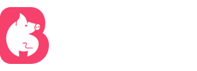 今日看料